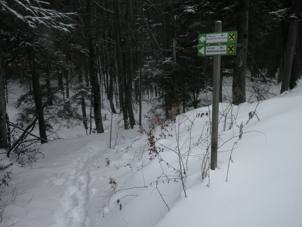 PC120151.JPG