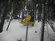 PC120116.JPG