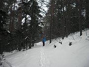 PC120117.JPG