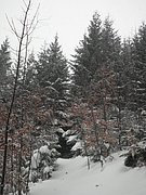 PC120124.JPG