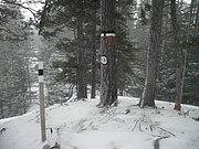 PC120125.JPG
