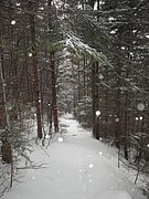 PC120142.JPG