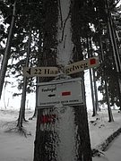 PC120143.JPG