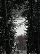 PC120145.JPG