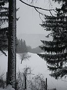 PC120147.JPG