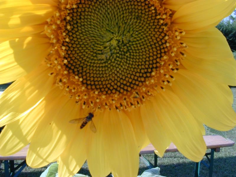 DSCN5859.JPG