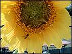 DSCN5859.JPG