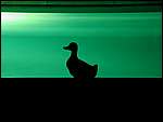 DSCN5977.JPG