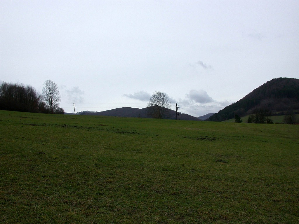 DSCN3940.JPG