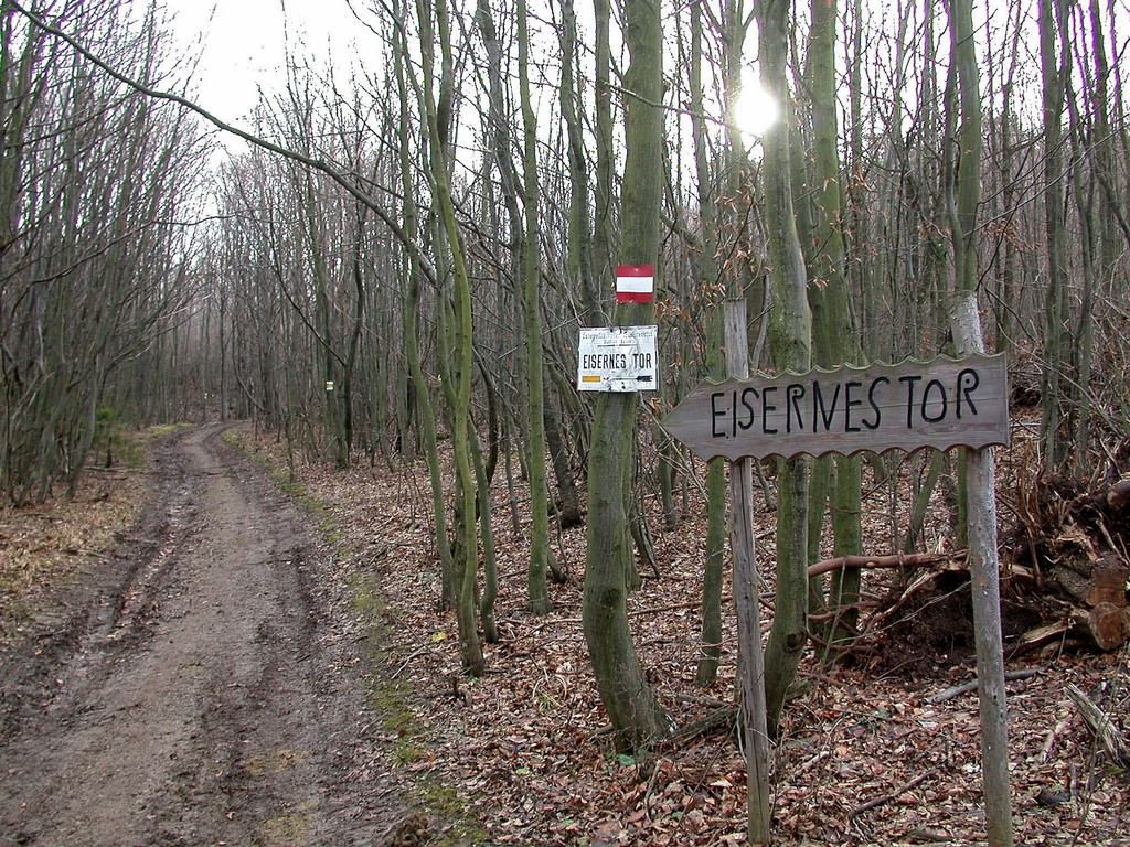DSCN3942.JPG