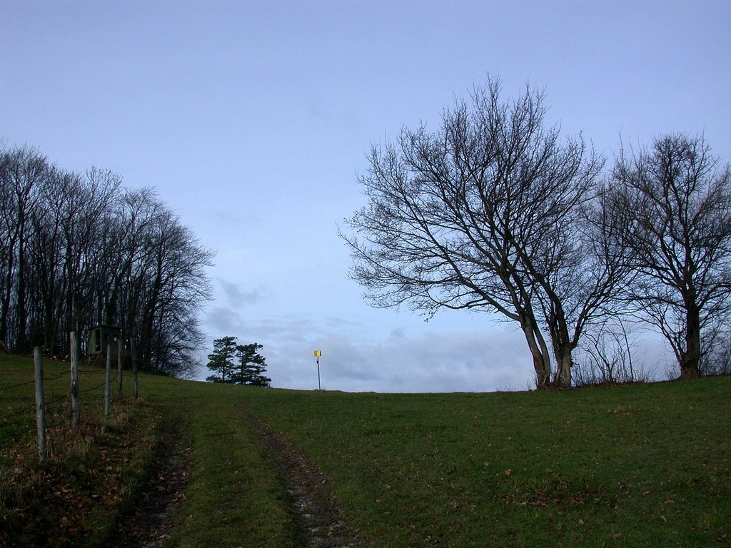 DSCN3943.JPG