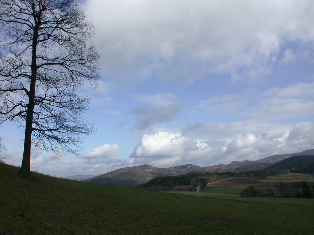 DSCN3950.JPG