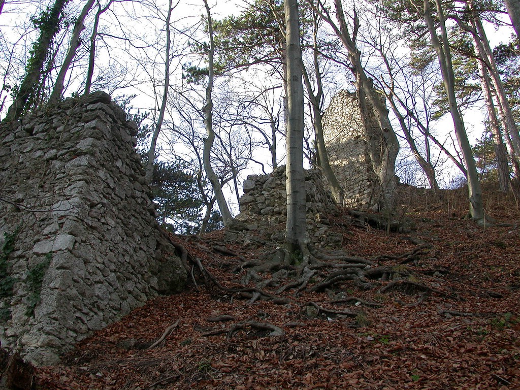 DSCN3963.JPG