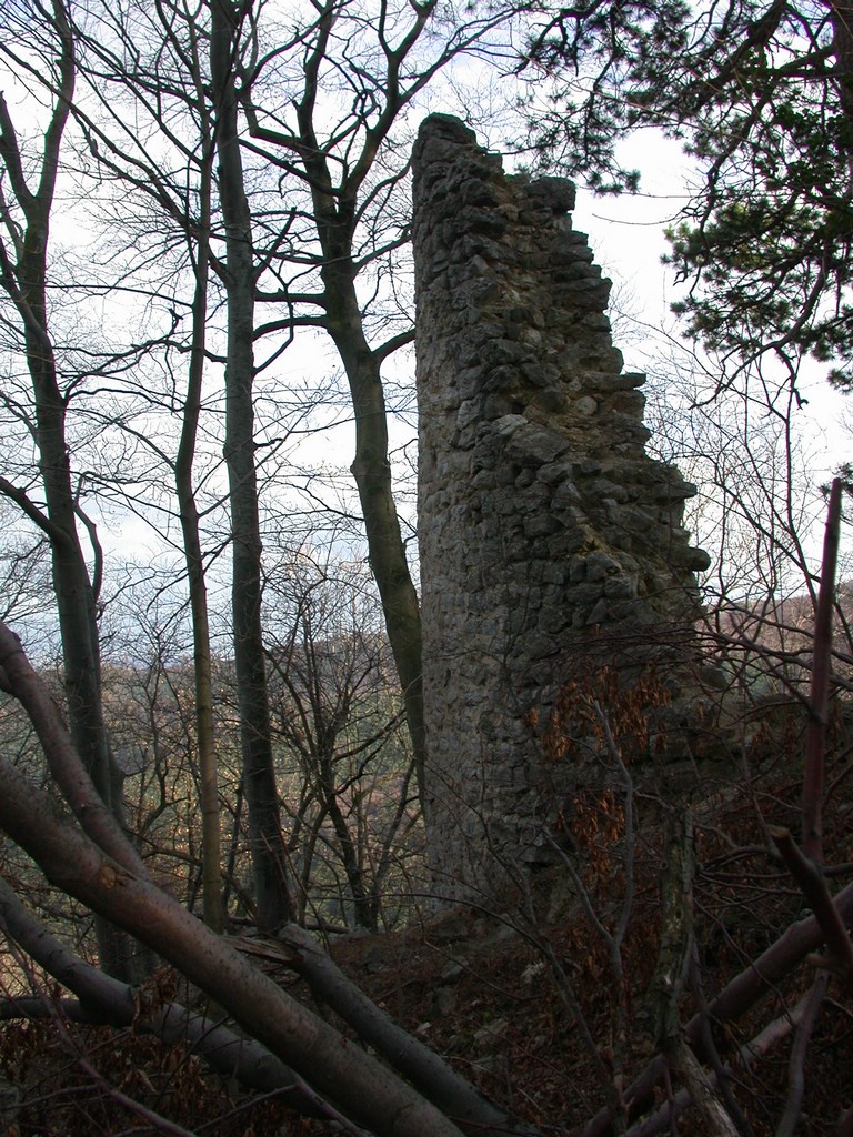 DSCN3966.JPG