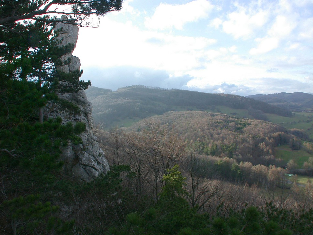 DSCN3968.JPG