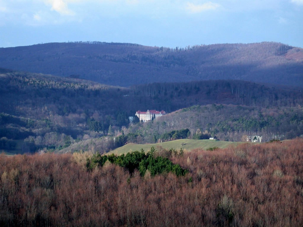 DSCN3976.JPG