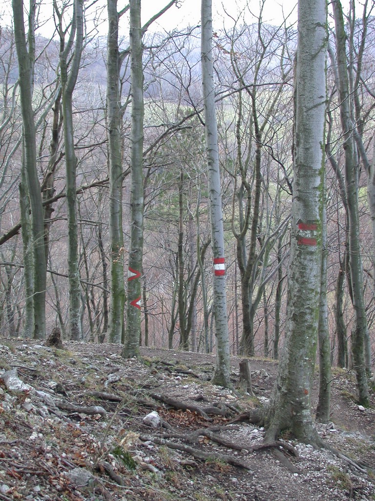 DSCN3977.JPG