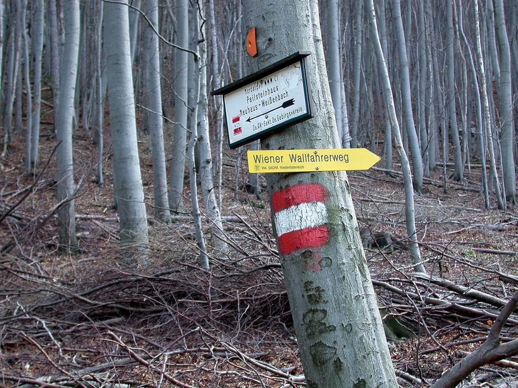 DSCN3978.JPG