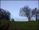 DSCN3943.JPG