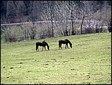 DSCN3945.JPG