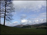 DSCN3950.JPG