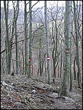 DSCN3977.JPG