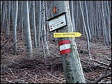 DSCN3978.JPG