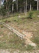 PA030061.JPG