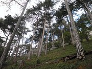 PA030066.JPG