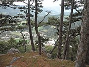 PA030070.JPG