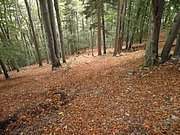 PA030072.JPG
