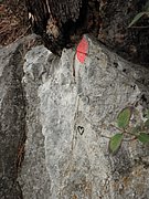 PA030075.JPG