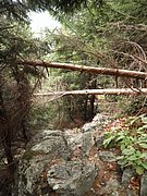 PA030085.JPG