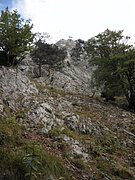 PA030086.JPG