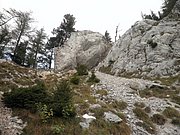 PA030089.JPG
