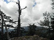 PA030091.JPG