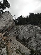PA030093.JPG