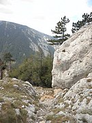 PA030094.JPG