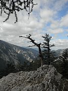 PA030096.JPG