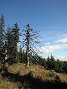 PA030132.JPG