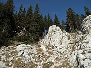 PA030139.JPG
