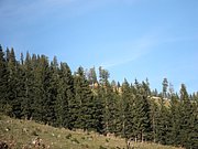 PA030170.JPG