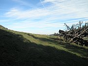 PA030173.JPG