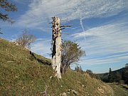 PA030179.JPG