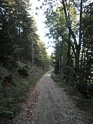 PA030183.JPG