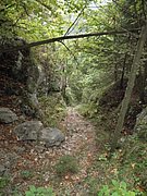 PA030192.JPG