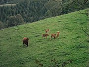 PA030195.JPG