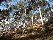 PB060009.JPG