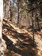 PB060010.JPG