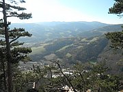 PB060015.JPG